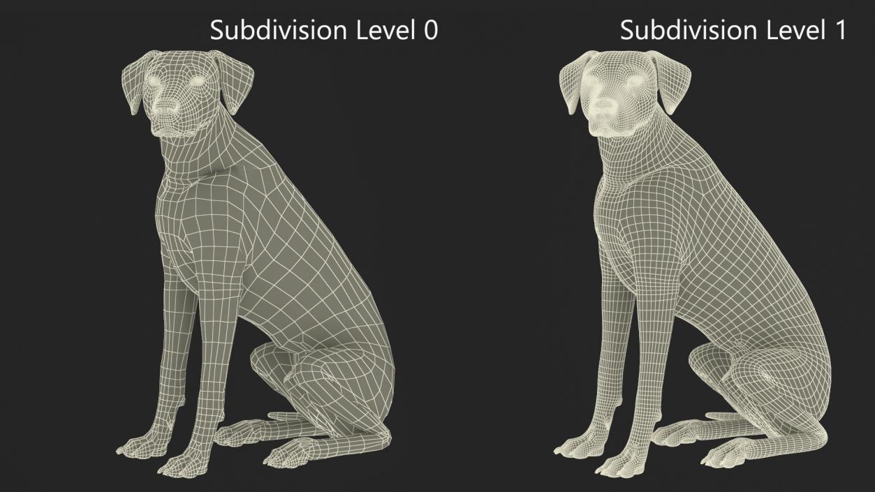 3D Spotted Sitting Dalmatian Dog Fur model