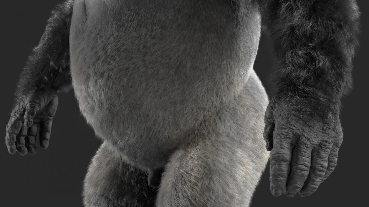 Gorilla Fur Animated Rigged 3D