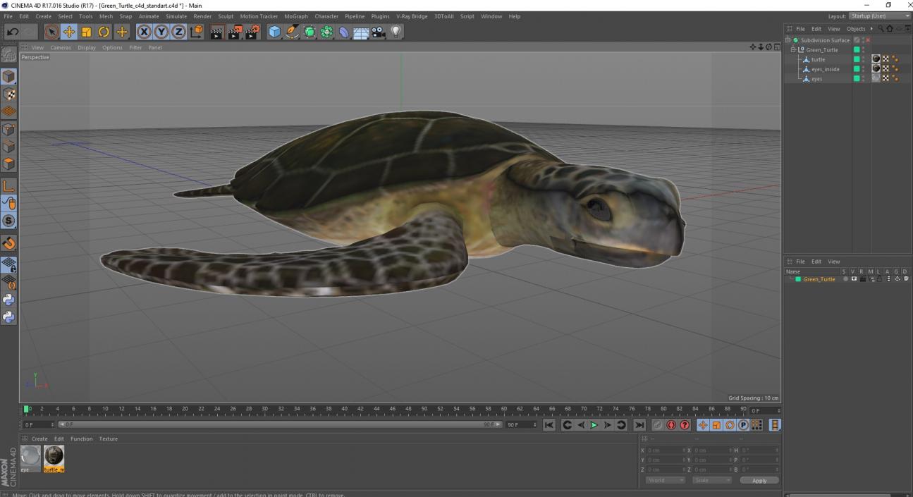 Green Turtle 3D