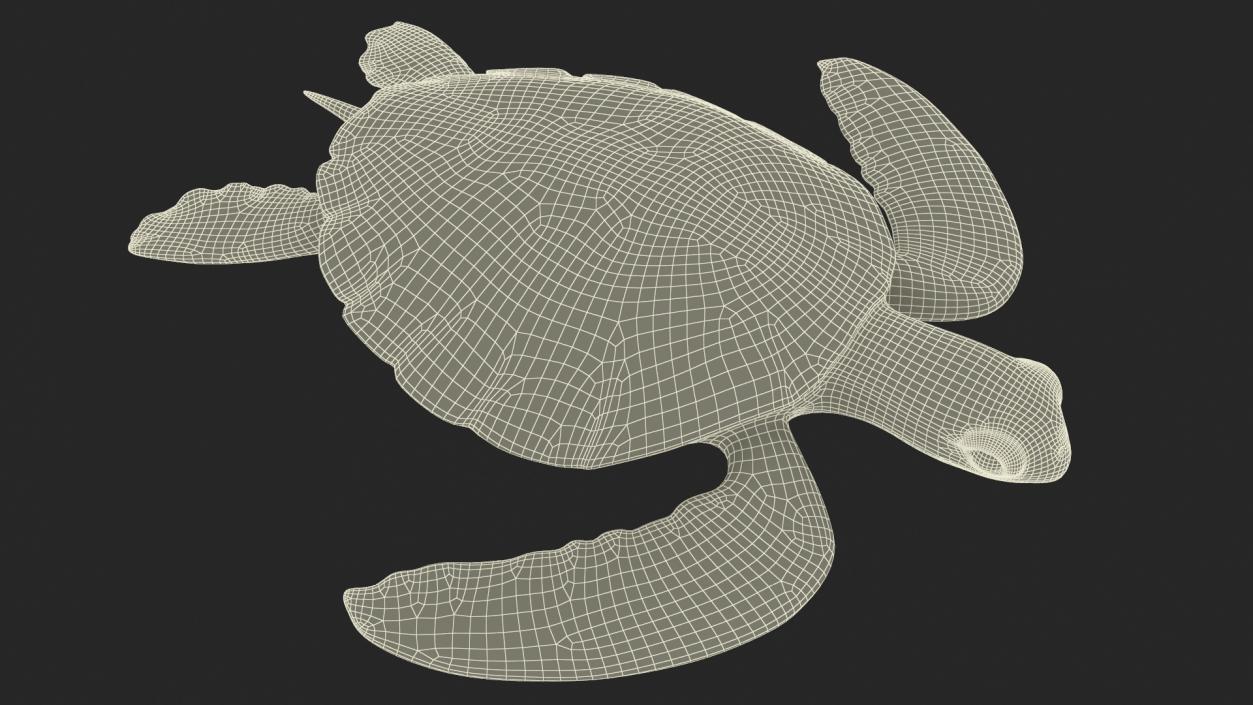 Green Turtle 3D