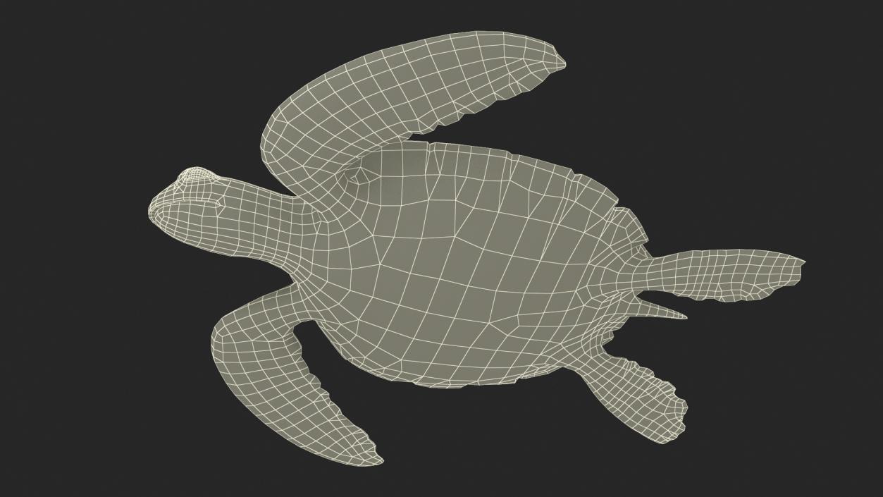 Green Turtle 3D