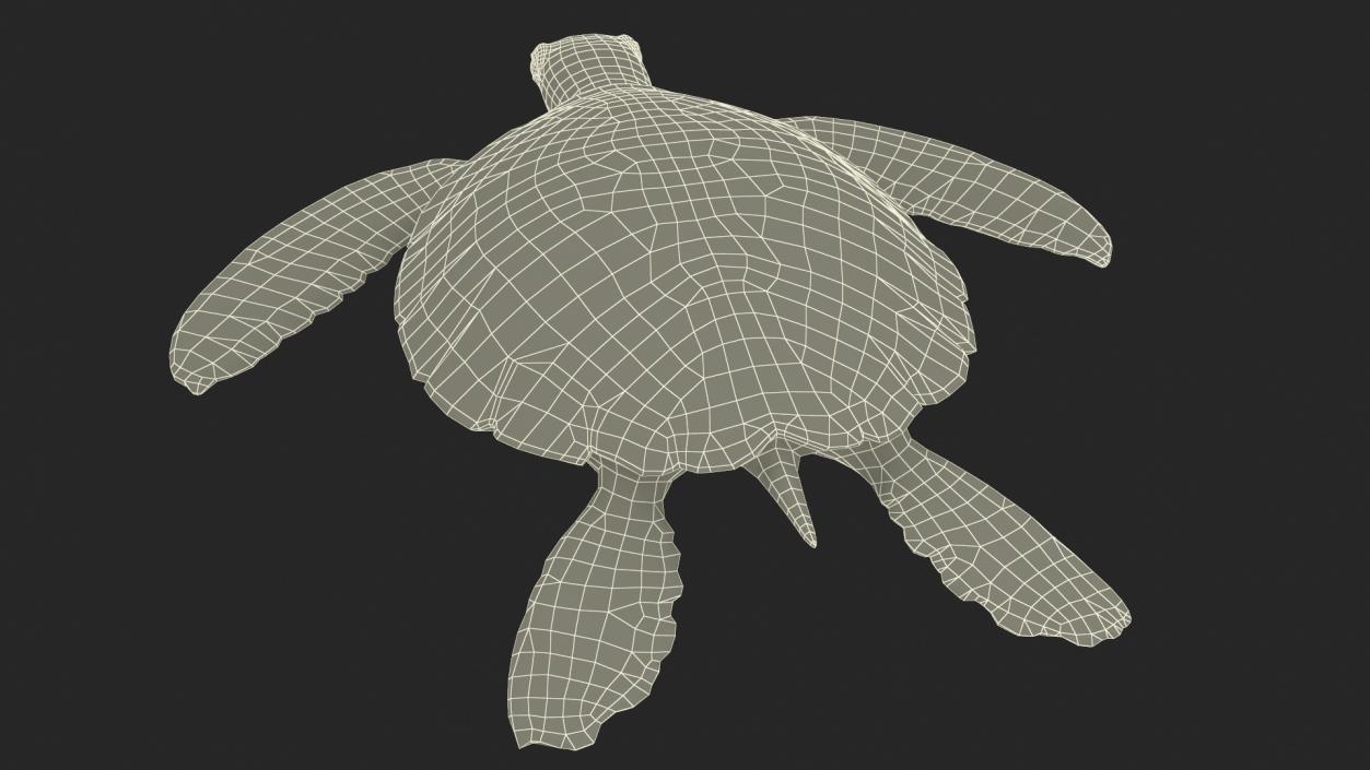 Green Turtle 3D