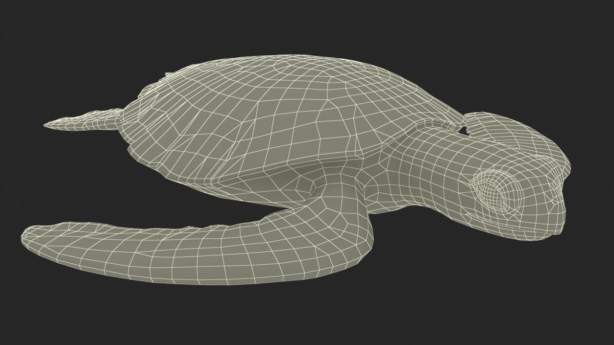 Green Turtle 3D