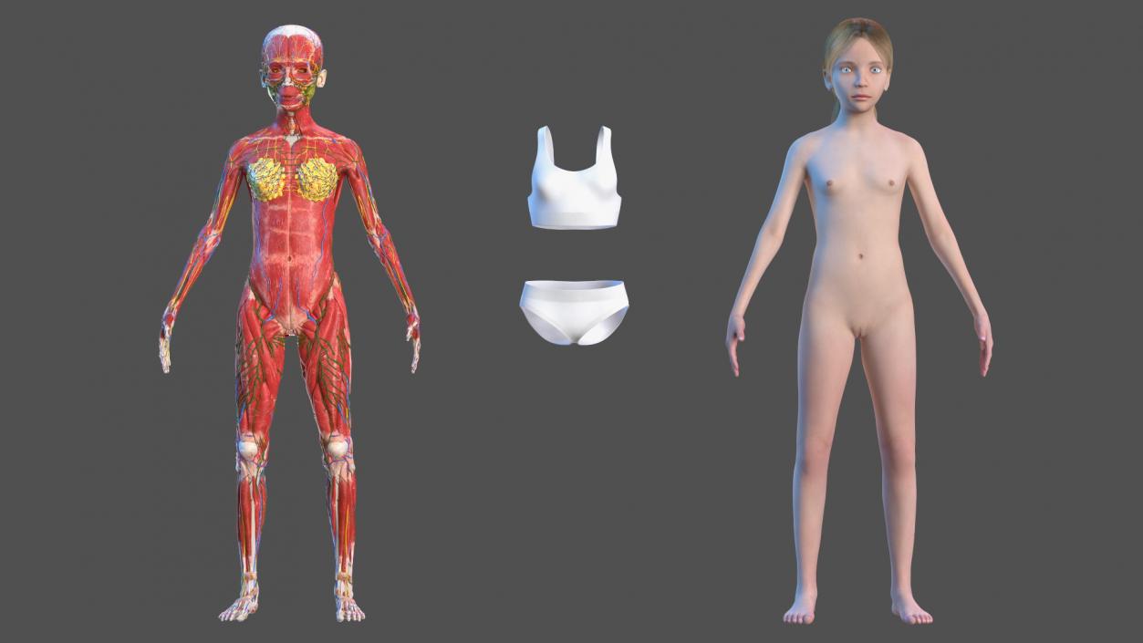 3D Complete Female and Kid Girl Anatomy Fur Collection