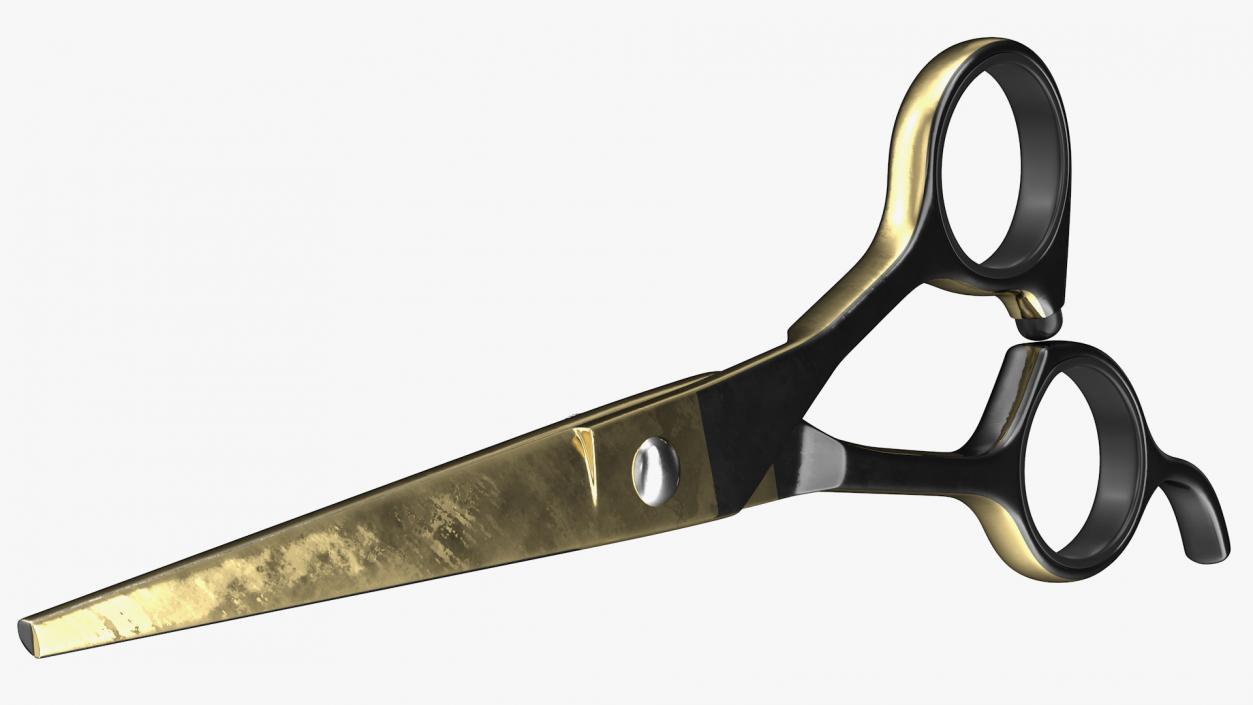 3D model ShearGuru Professional Straight Edge Scissors