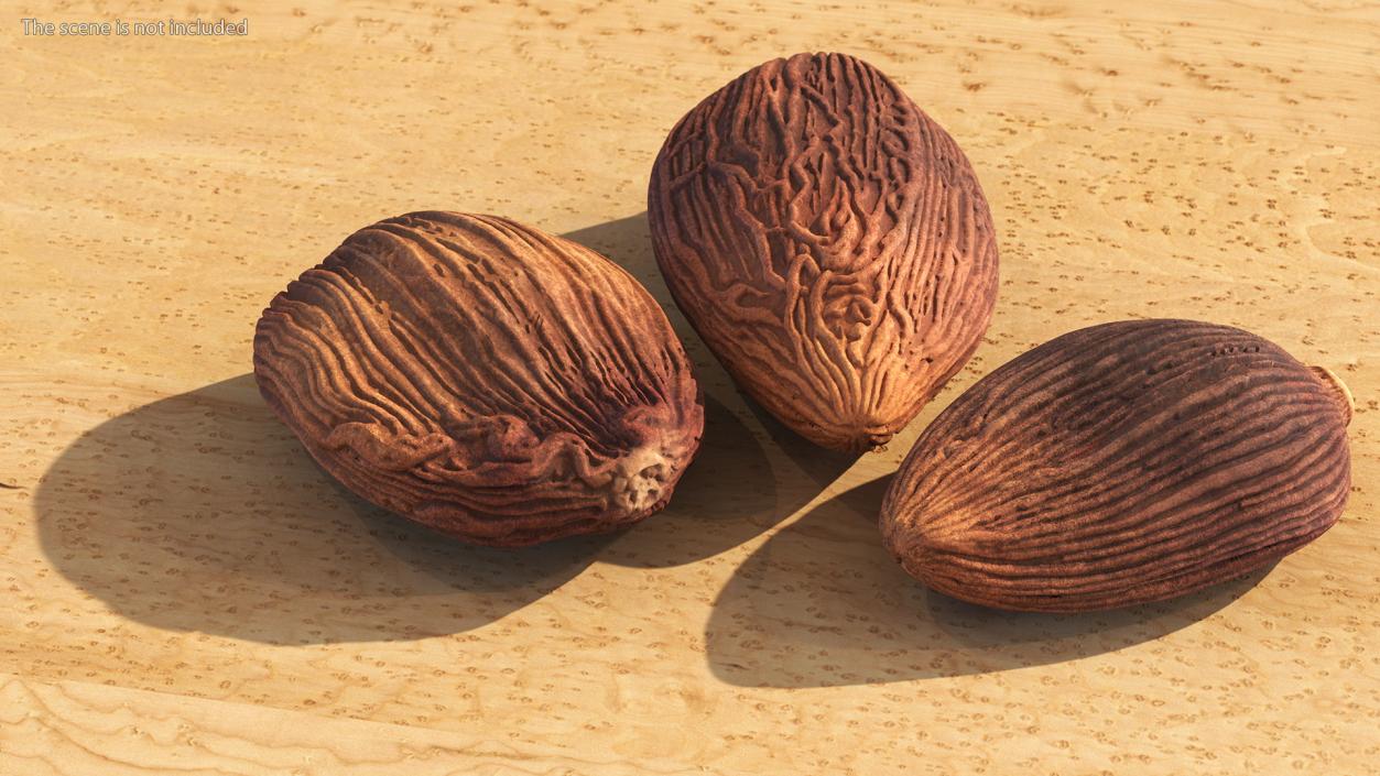 3D Dried Black Cardamom Fruit