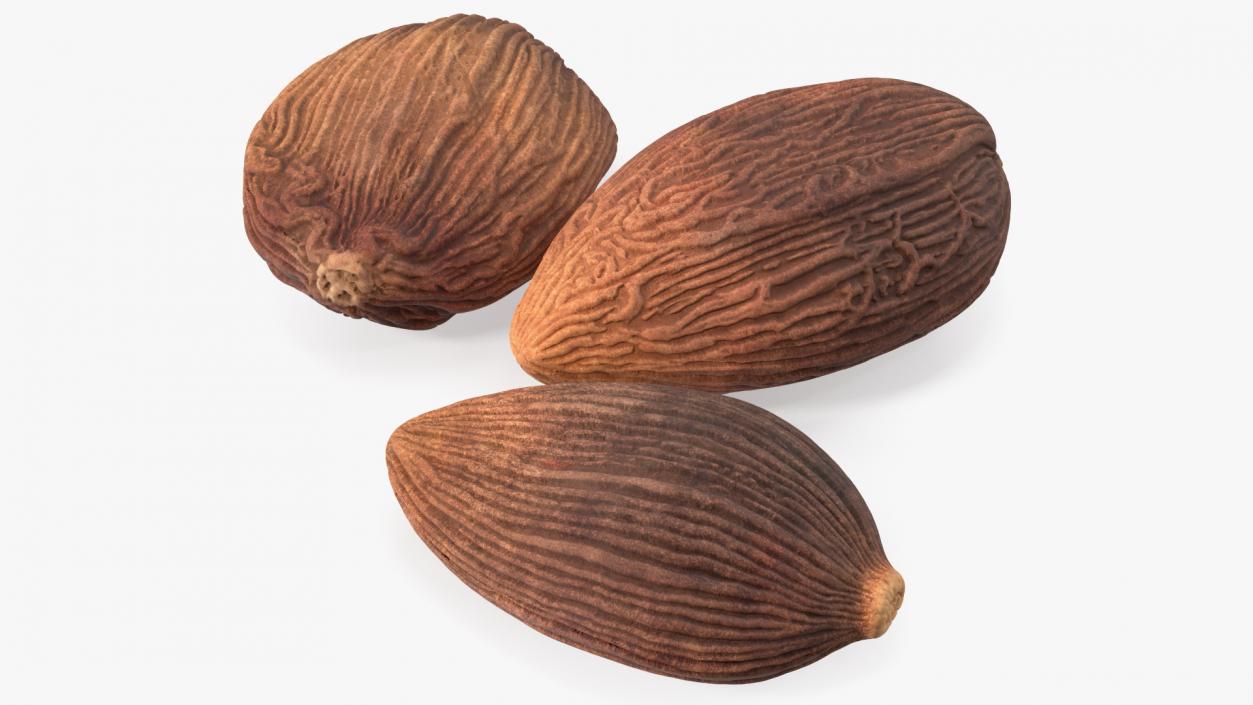 3D Dried Black Cardamom Fruit