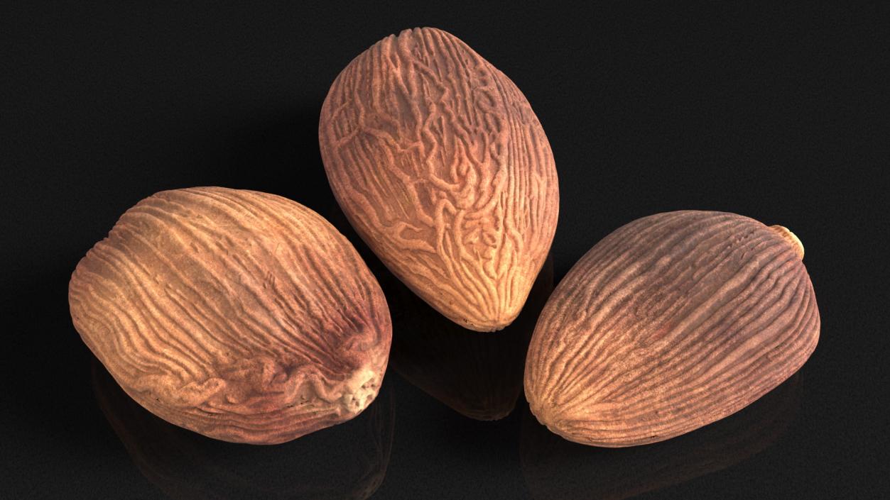 3D Dried Black Cardamom Fruit