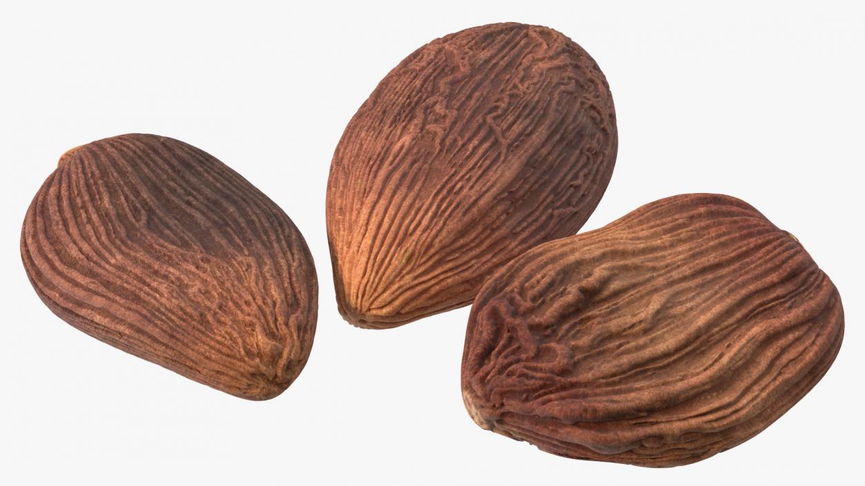 3D Dried Black Cardamom Fruit