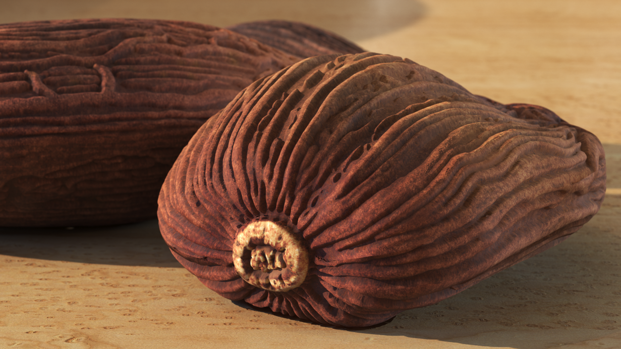 3D Dried Black Cardamom Fruit