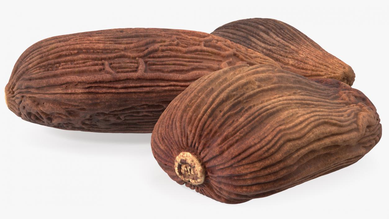 3D Dried Black Cardamom Fruit