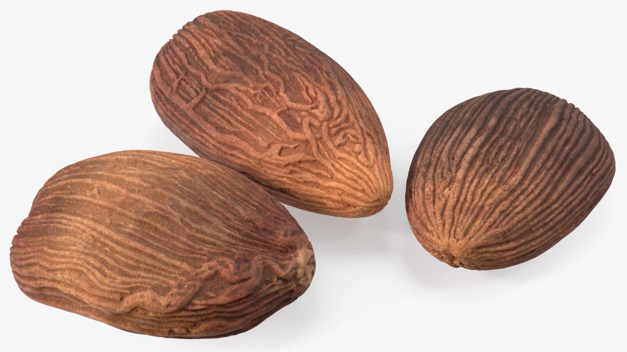 3D Dried Black Cardamom Fruit