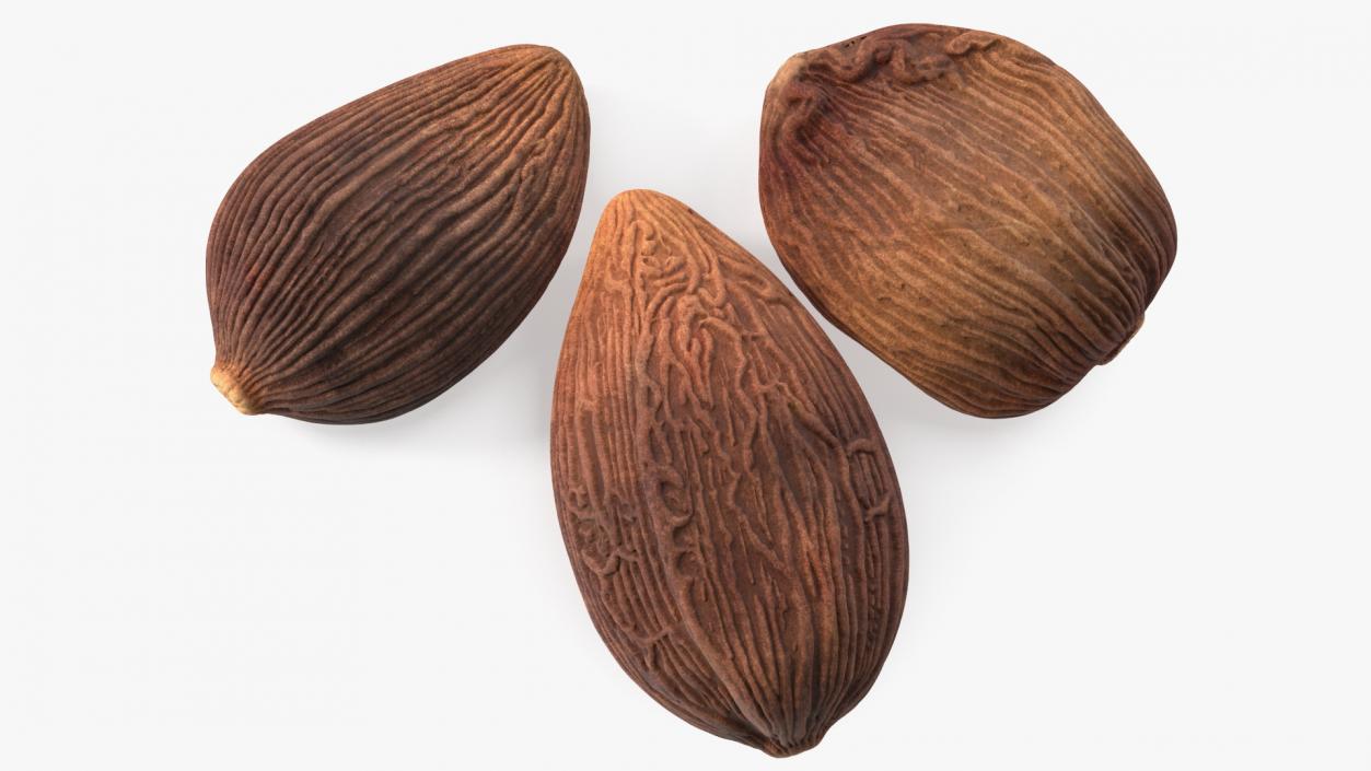 3D Dried Black Cardamom Fruit