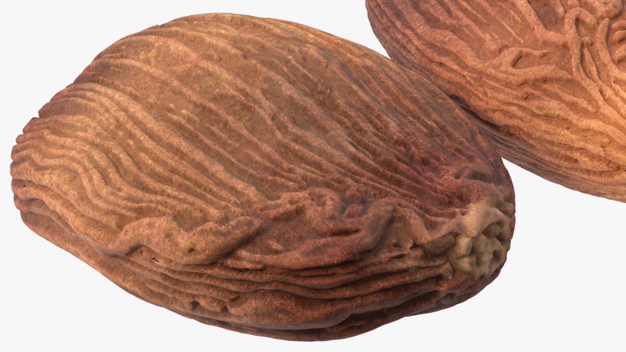 3D Dried Black Cardamom Fruit