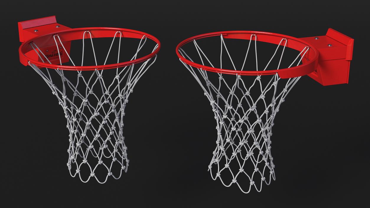 Basketball Hoop and Net Spalding 3D