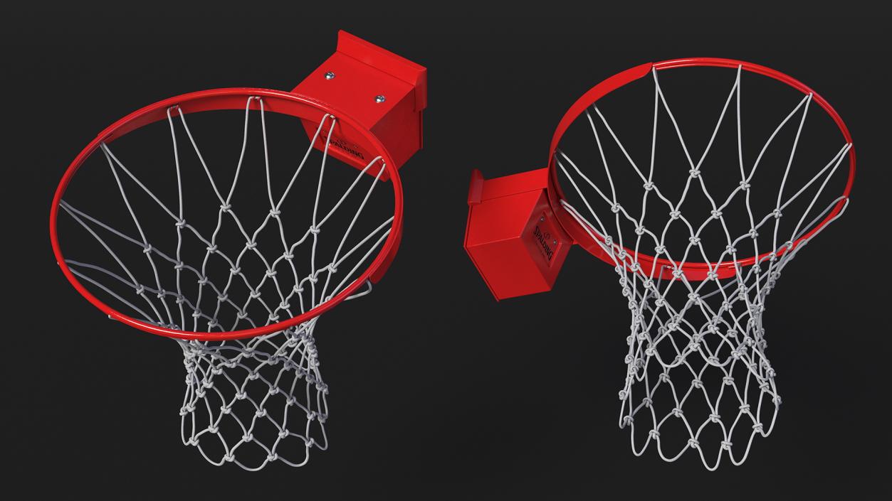 Basketball Hoop and Net Spalding 3D