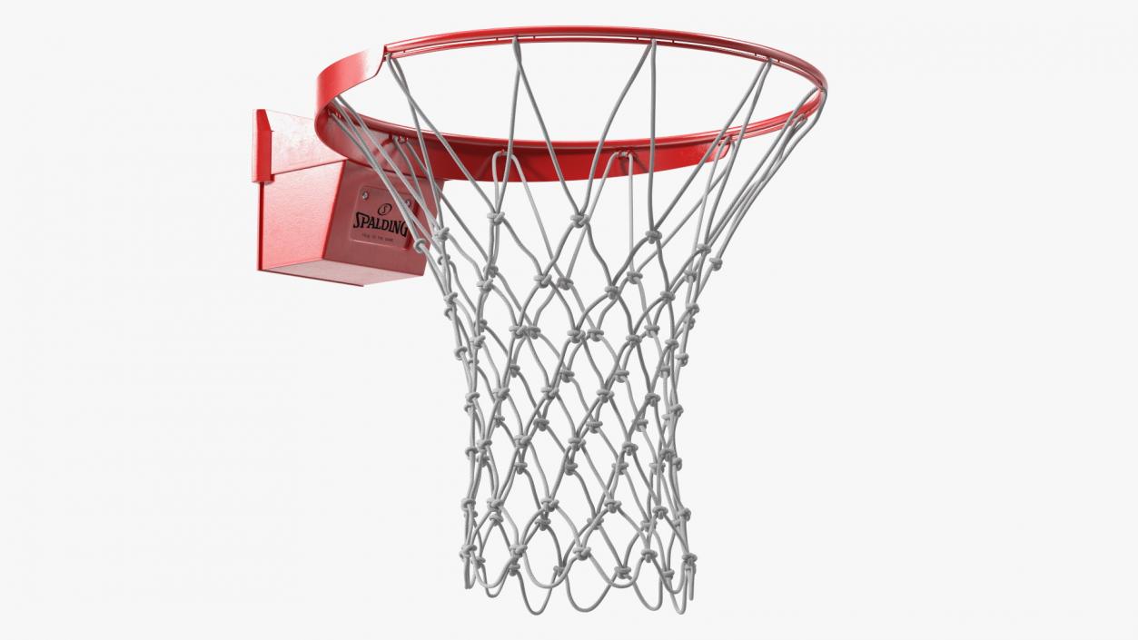 Basketball Hoop and Net Spalding 3D