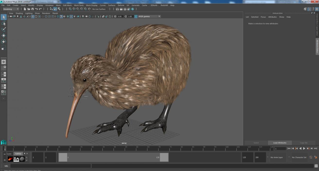 Cute Kiwi Bird 3D model