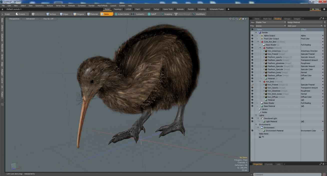 Cute Kiwi Bird 3D model