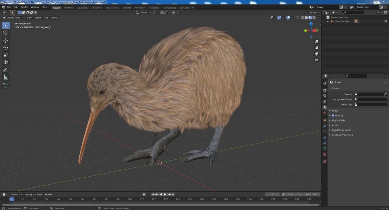 Cute Kiwi Bird 3D model