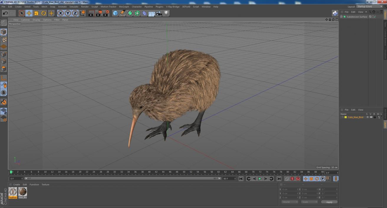 Cute Kiwi Bird 3D model