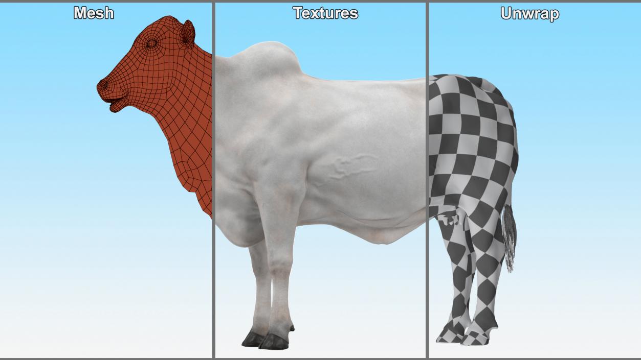 3D Nelore Cow Female Fur