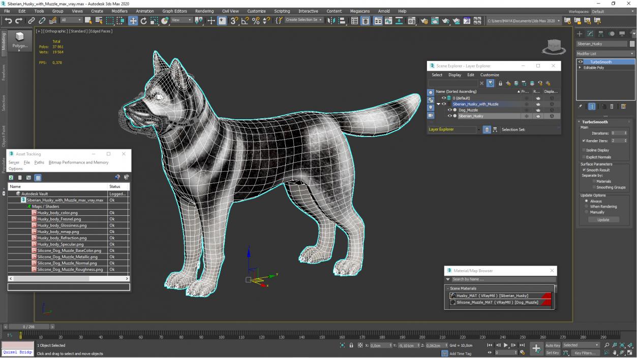 3D Siberian Husky with Muzzle 2 model