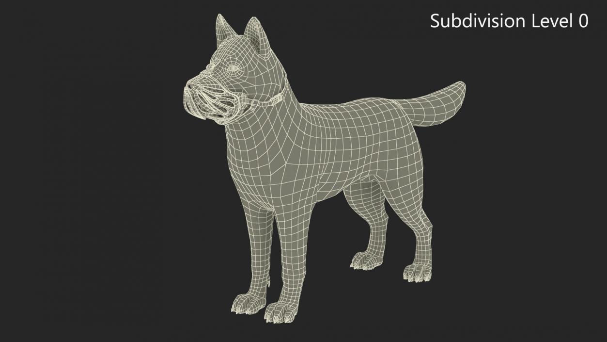 3D Siberian Husky with Muzzle 2 model