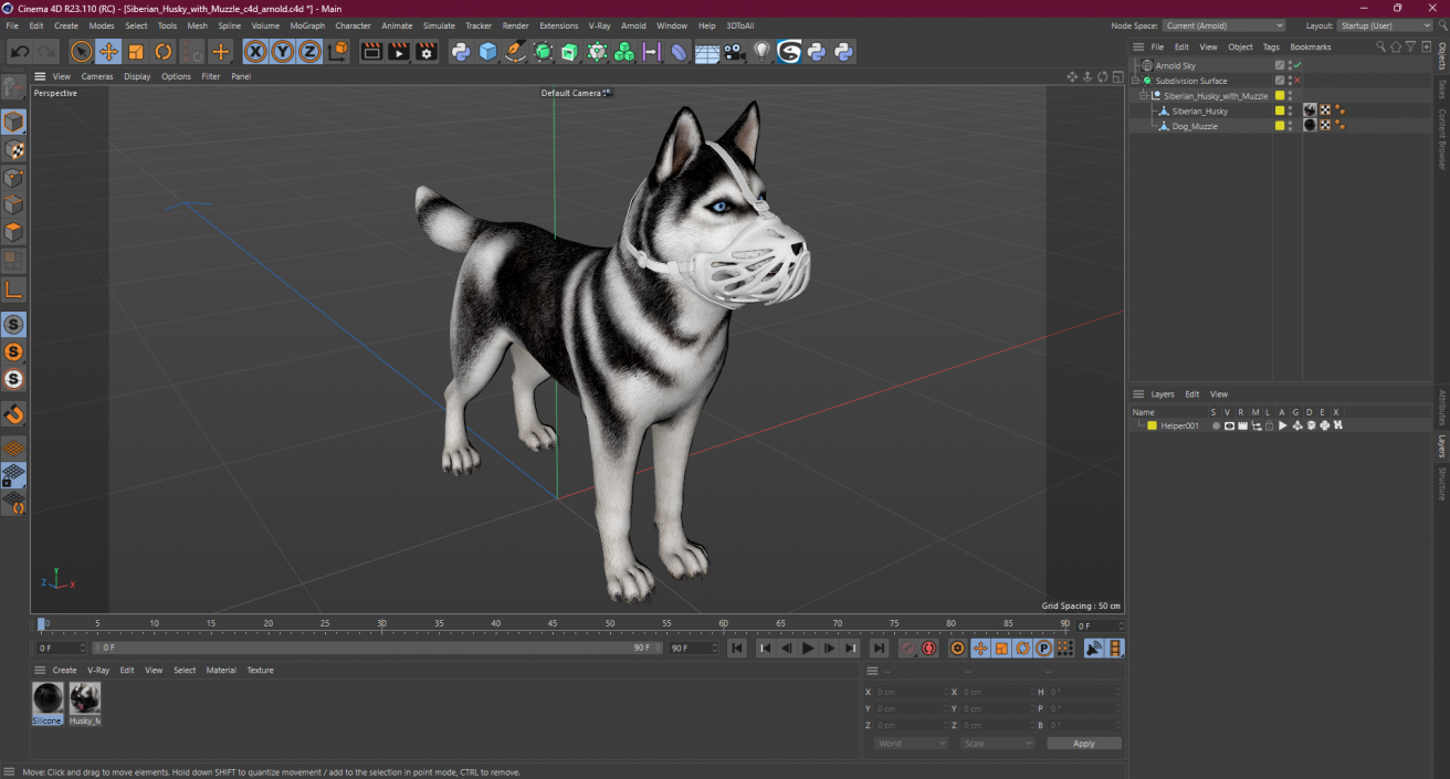 3D Siberian Husky with Muzzle 2 model