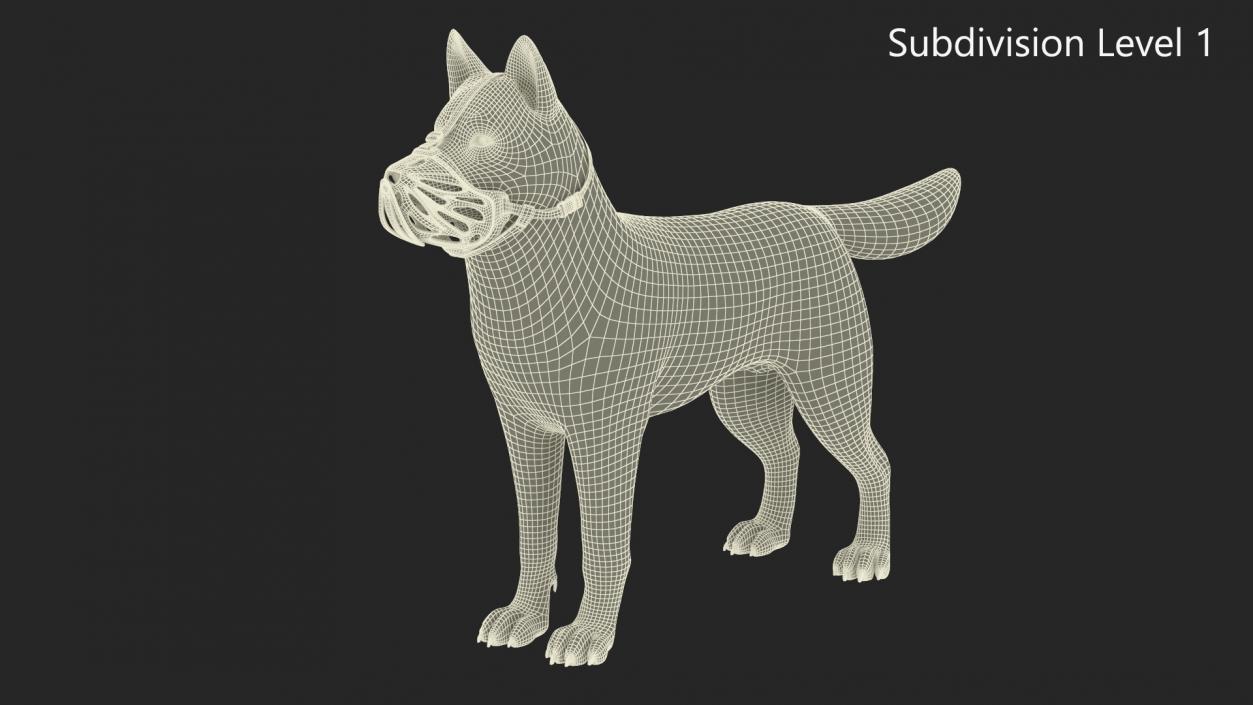 3D Siberian Husky with Muzzle 2 model