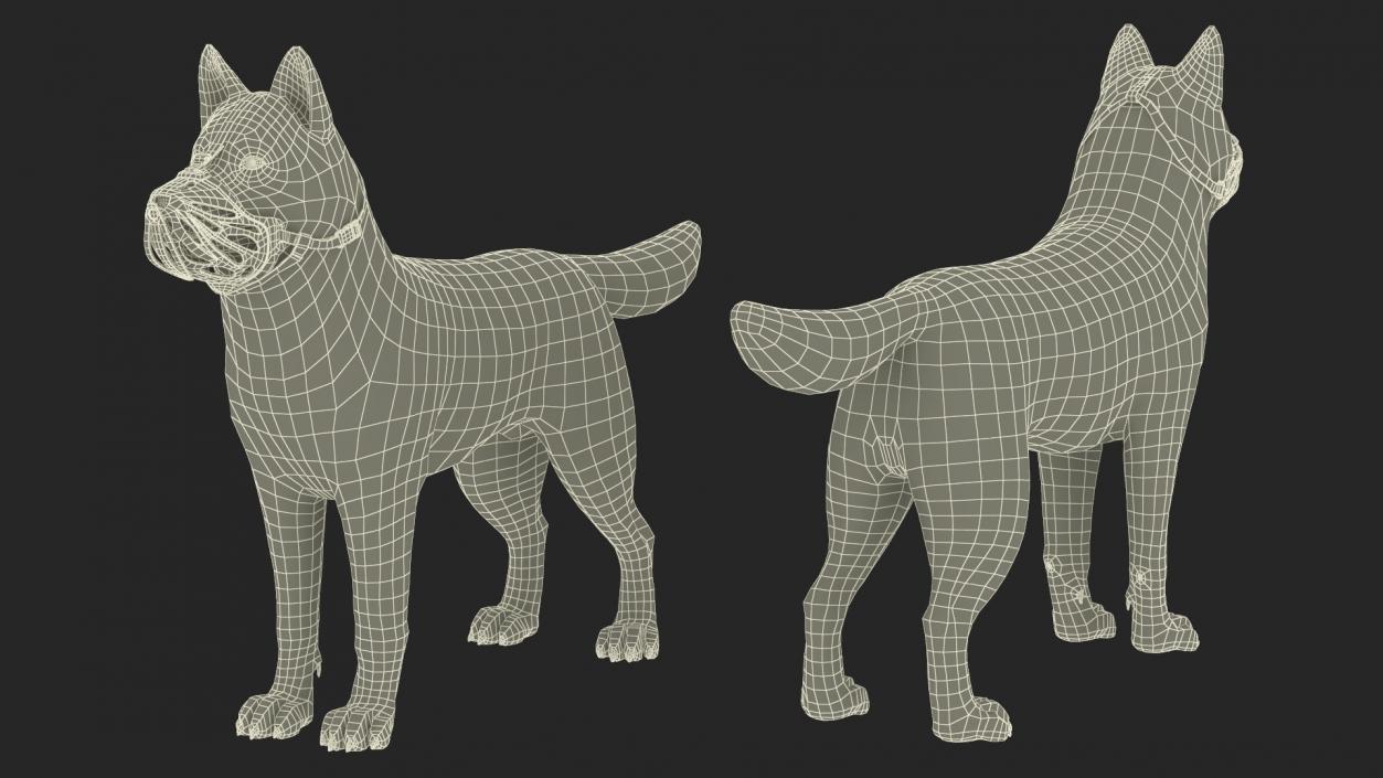 3D Siberian Husky with Muzzle 2 model