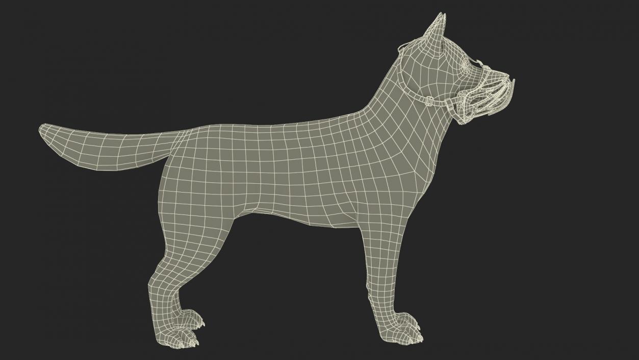 3D Siberian Husky with Muzzle 2 model