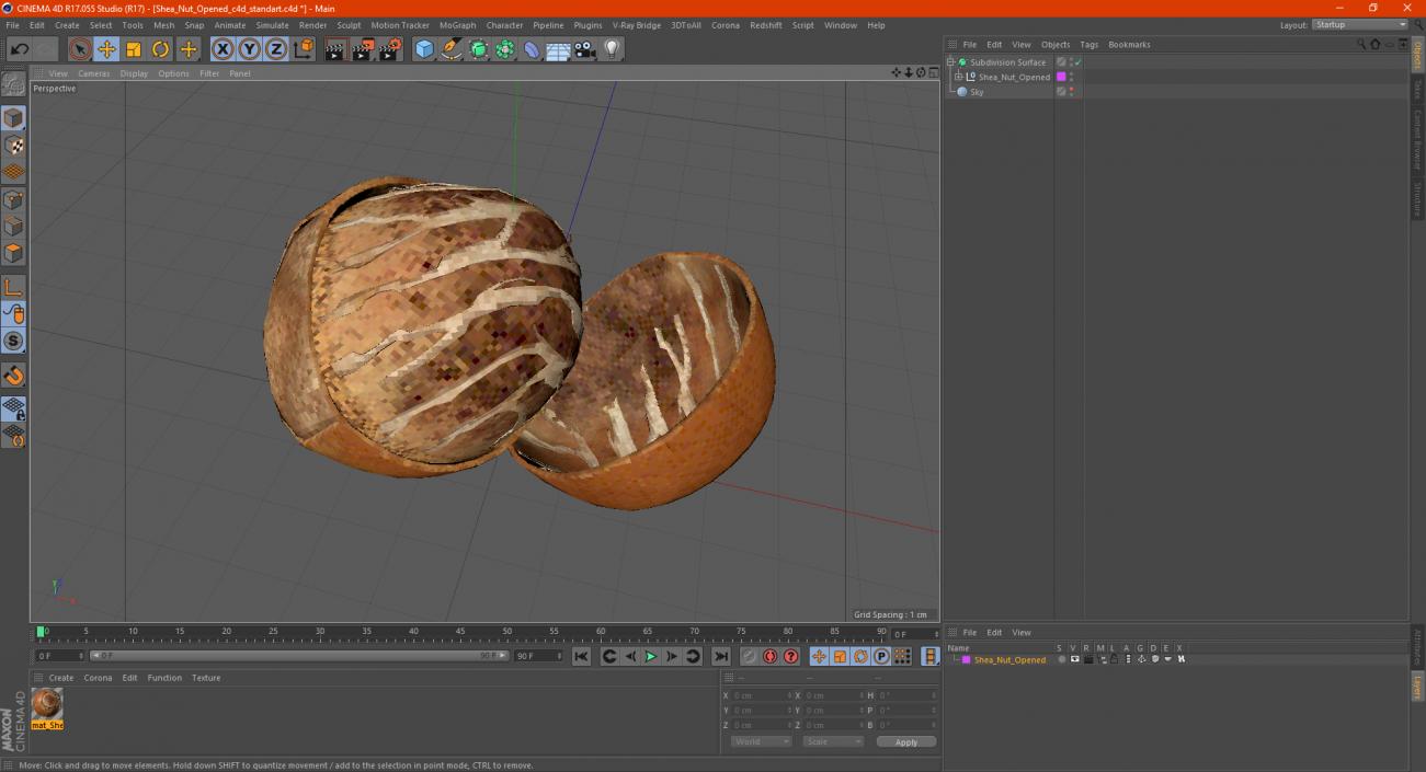 3D model Shea Nut Opened