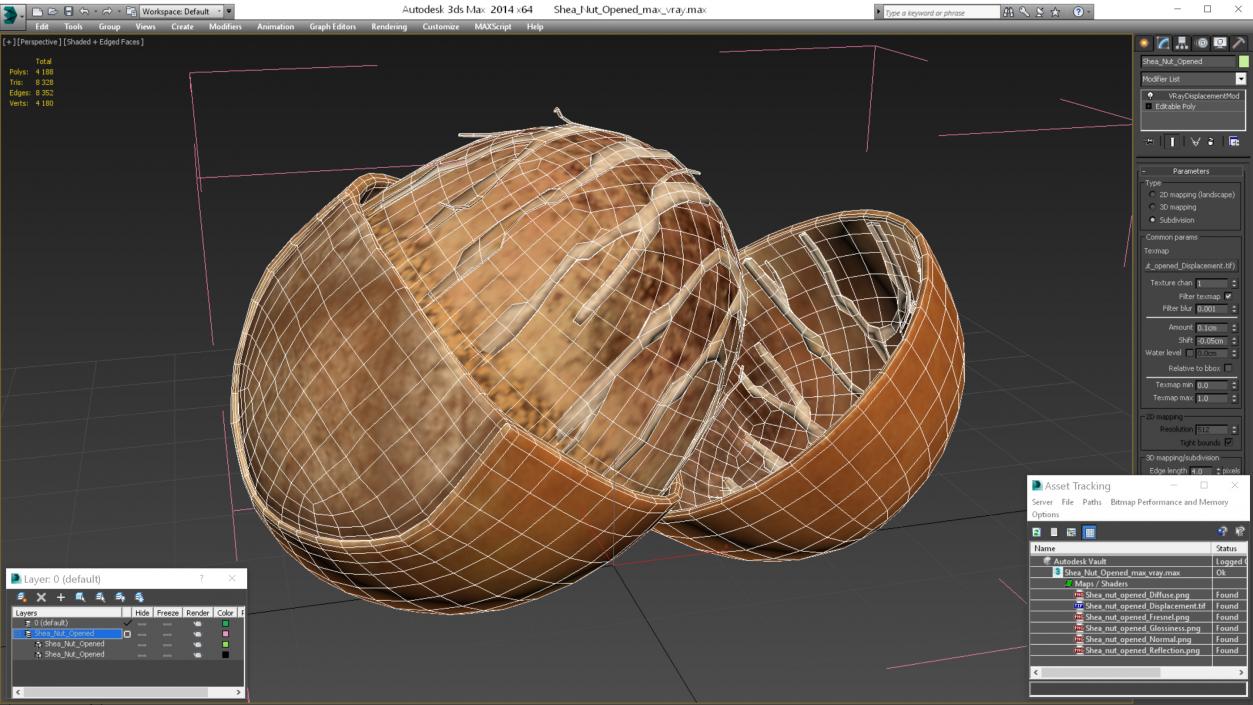 3D model Shea Nut Opened