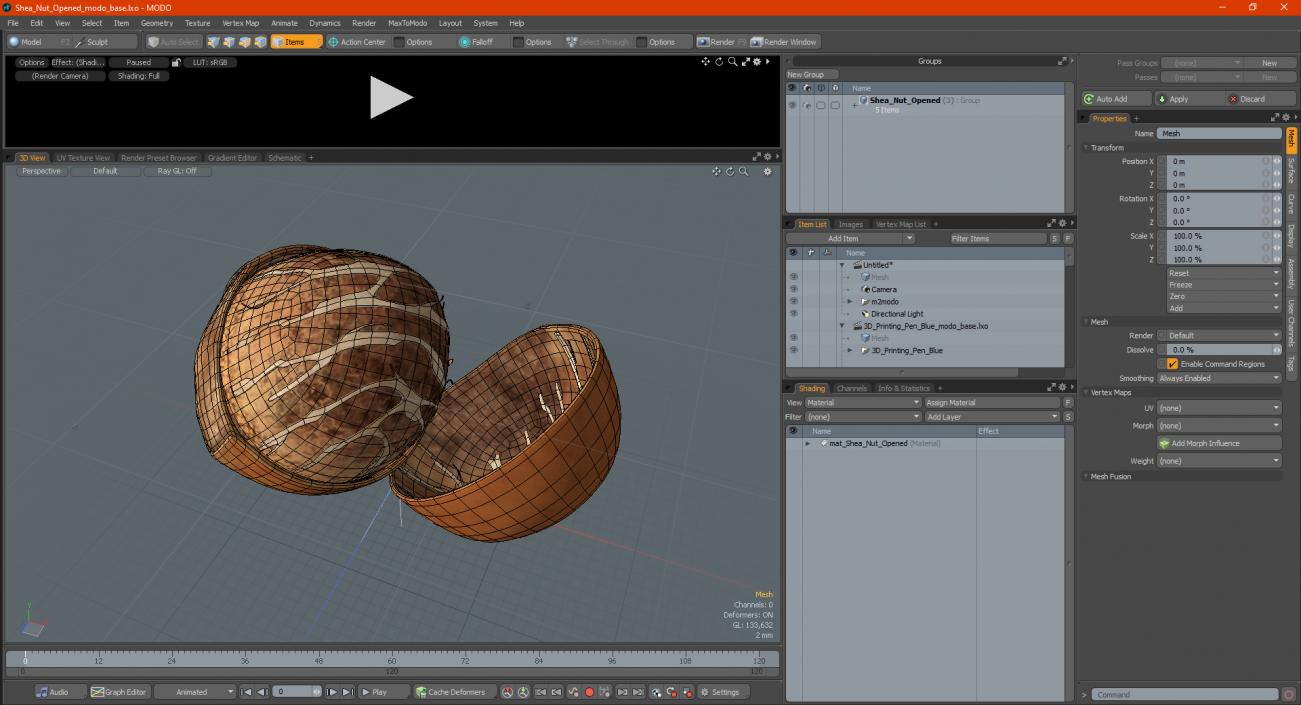 3D model Shea Nut Opened