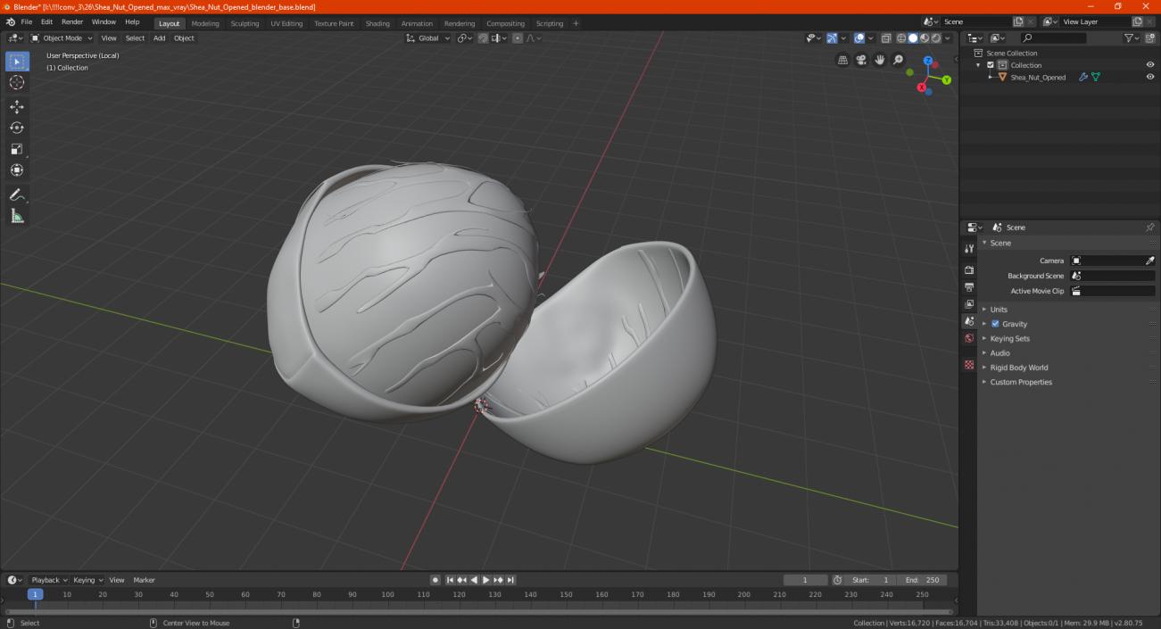 3D model Shea Nut Opened