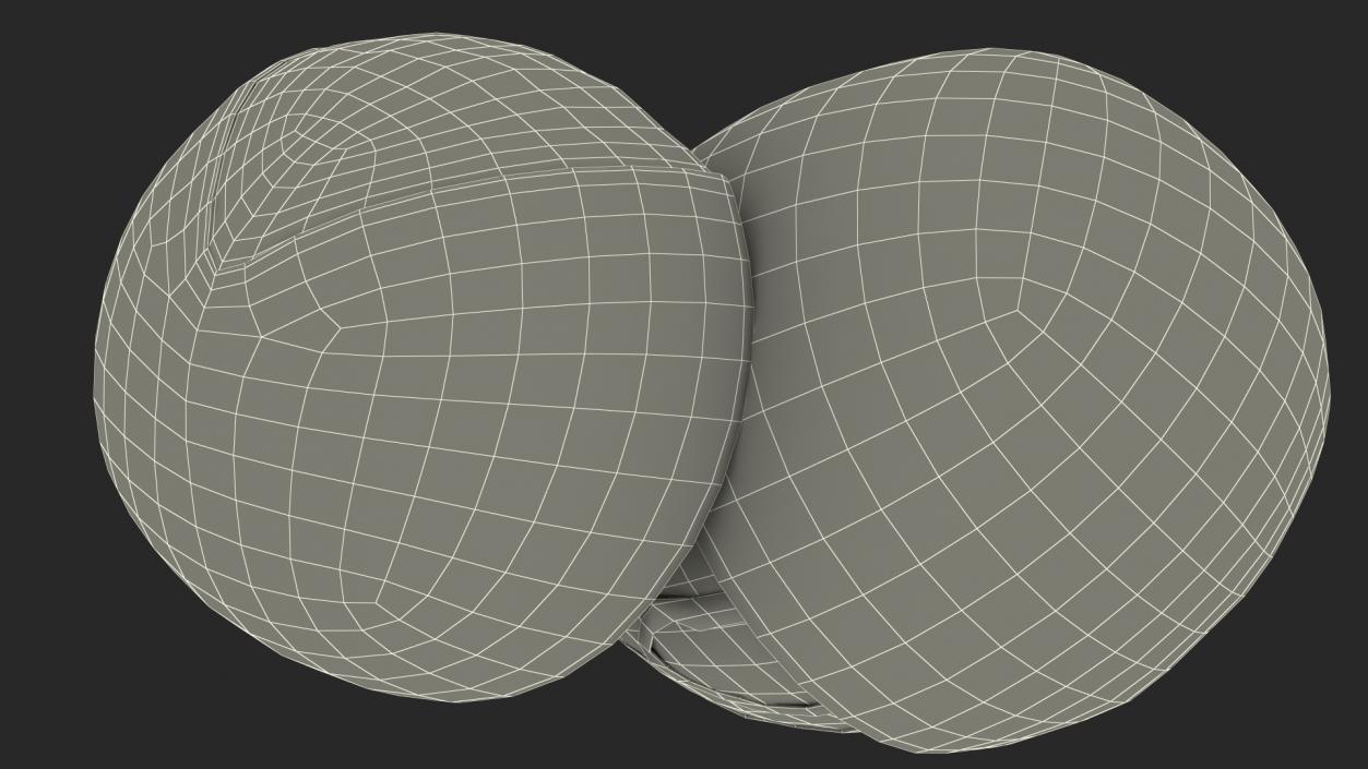 3D model Shea Nut Opened