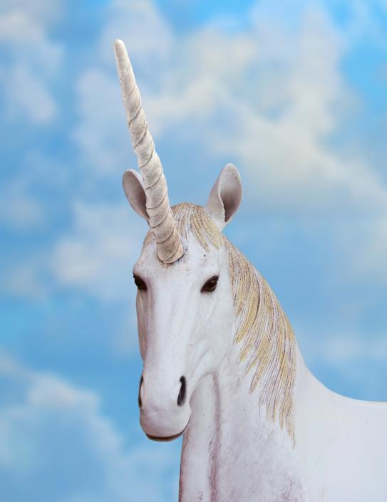 Unicorn Horn 3D