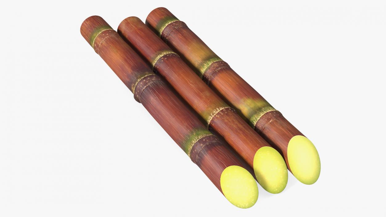 Brown Sugarcane Sticks 3D