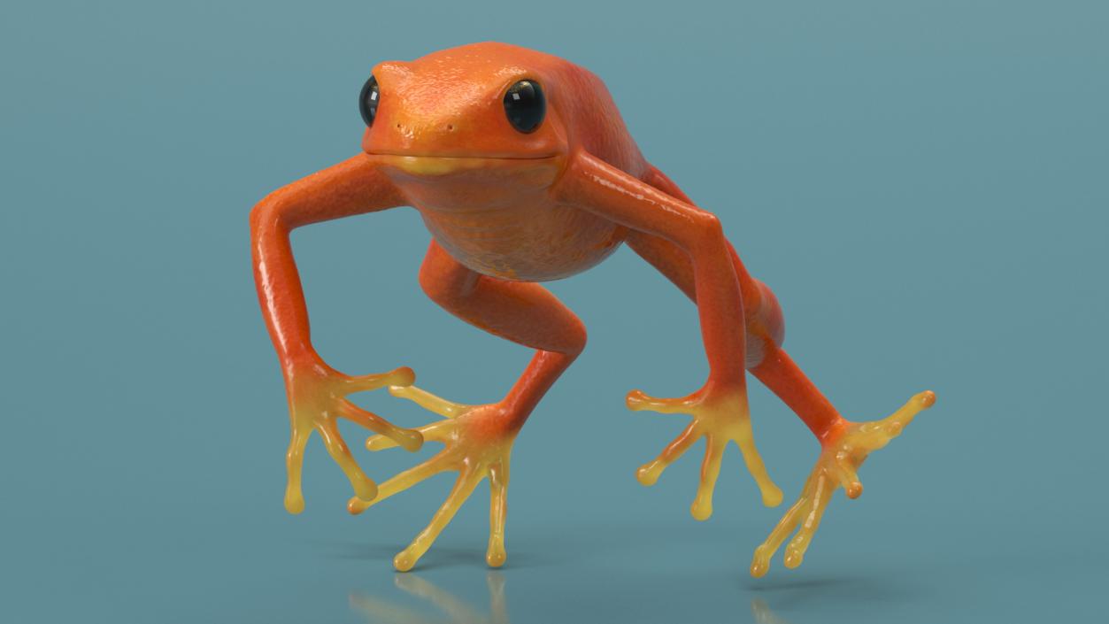 3D Mantella Frog Jumping