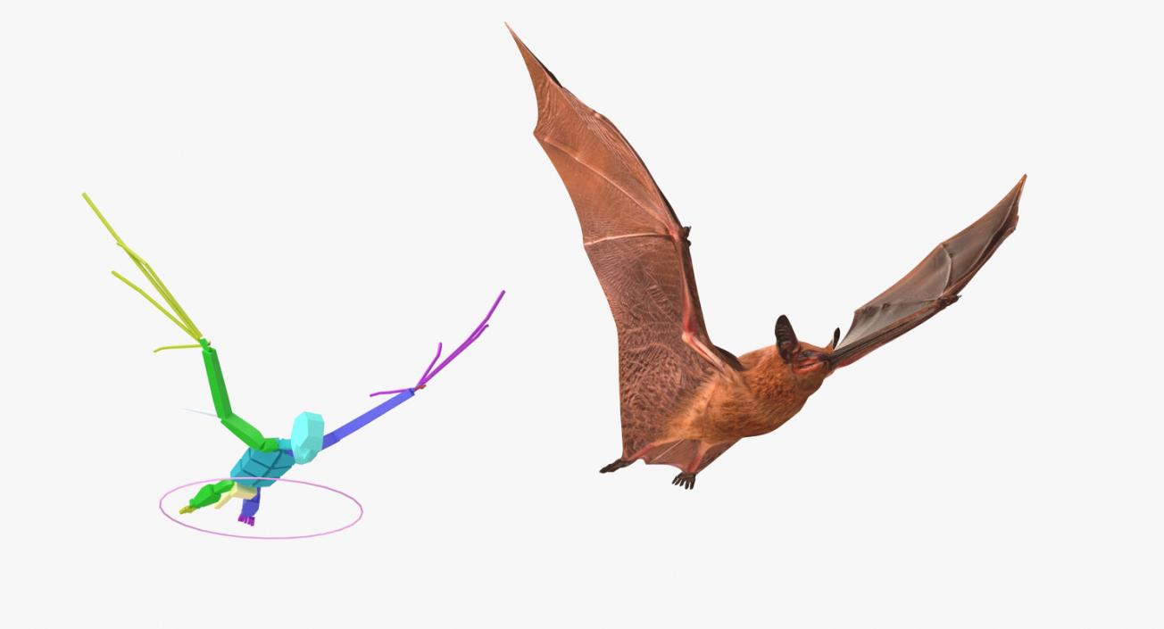 3D model Bat Rigged