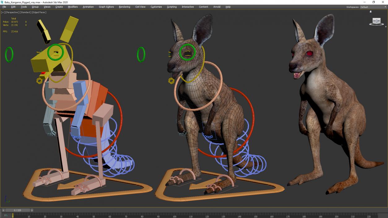 Baby Kangaroo Rigged for Maya 3D model