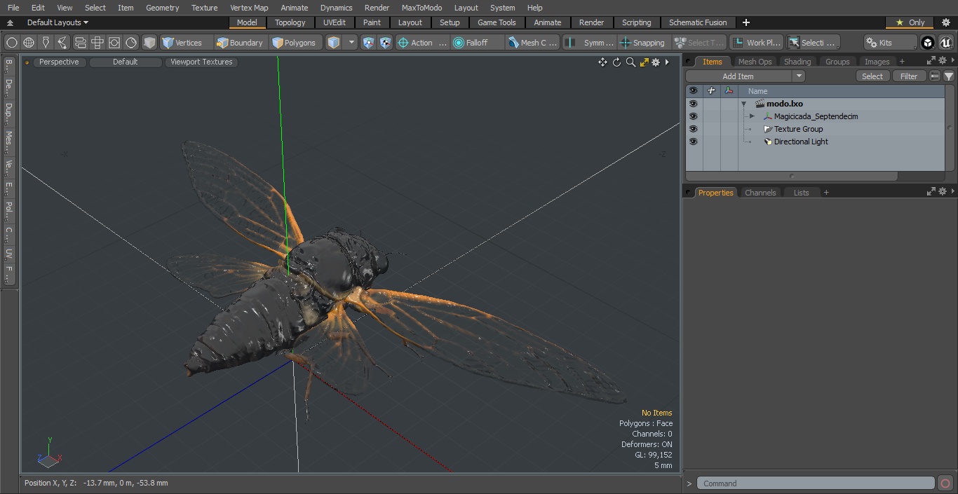 Magicicada Septendecim 3D