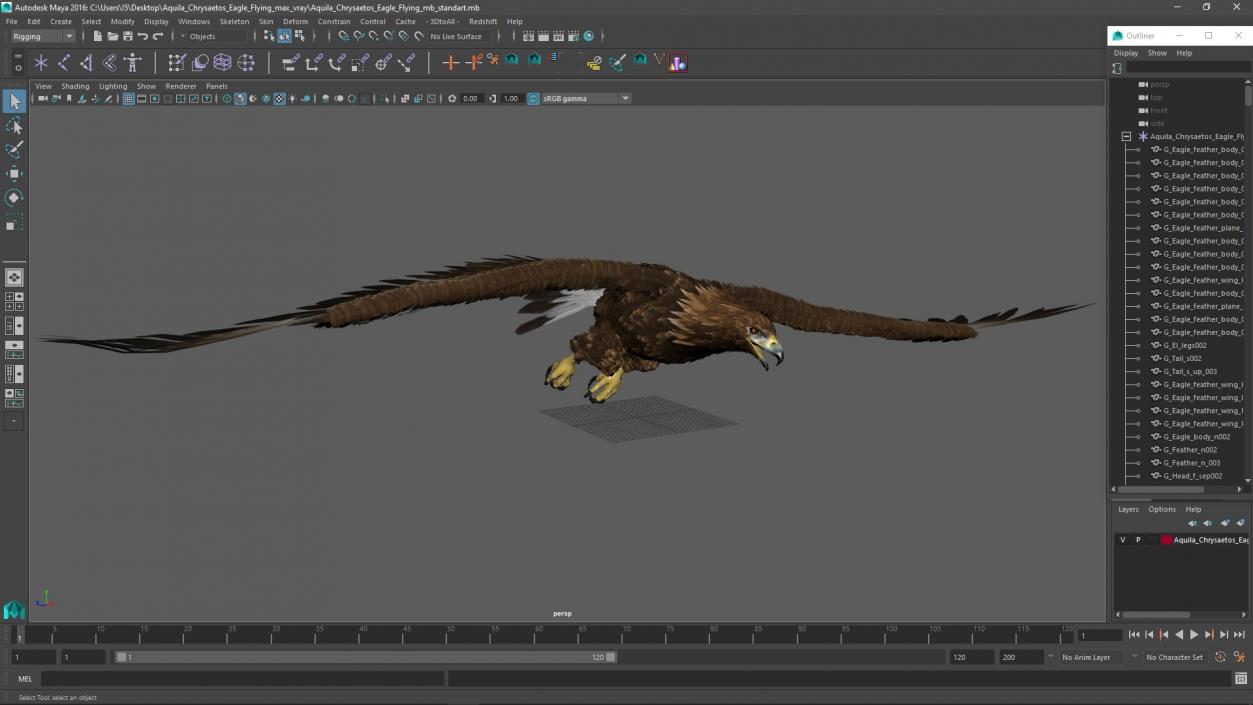 3D model Aquila Chrysaetos Eagle Flying