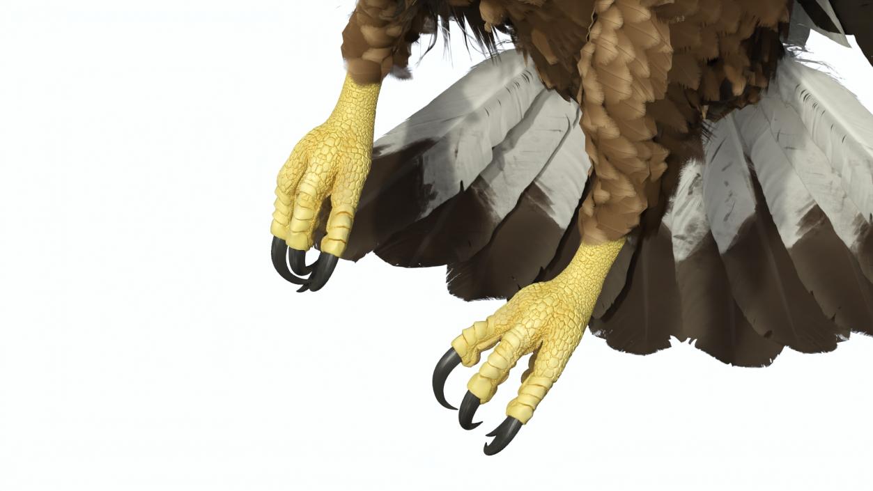 3D model Aquila Chrysaetos Eagle Flying