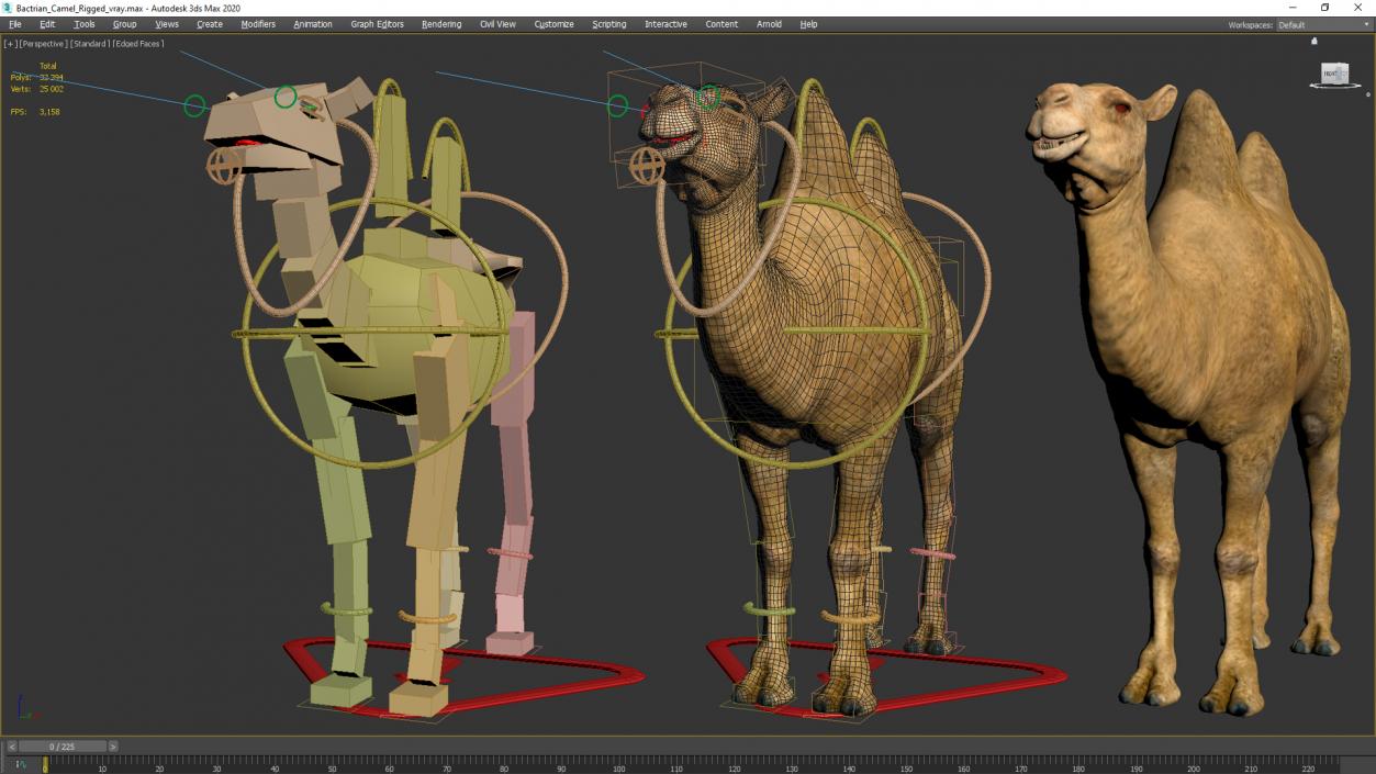 3D Bactrian Camel Rigged