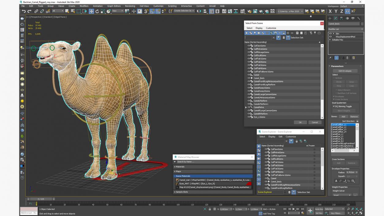 3D Bactrian Camel Rigged