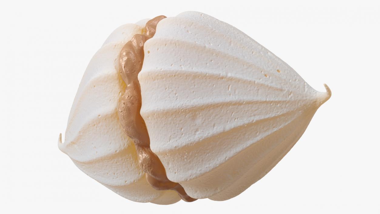 3D Meringue with Caramel Filling 2