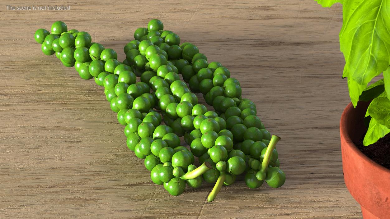 Fresh Peppers Collection 3D model