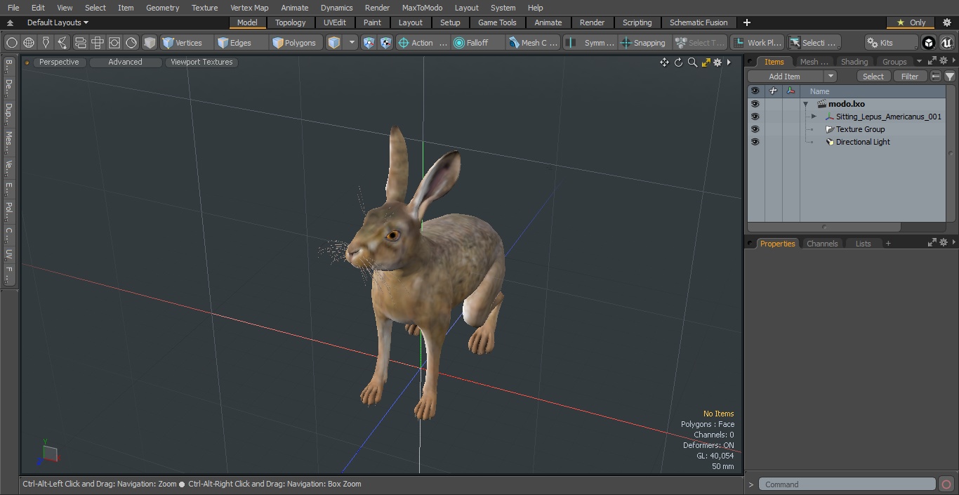 Sitting Lepus Americanus 3D model